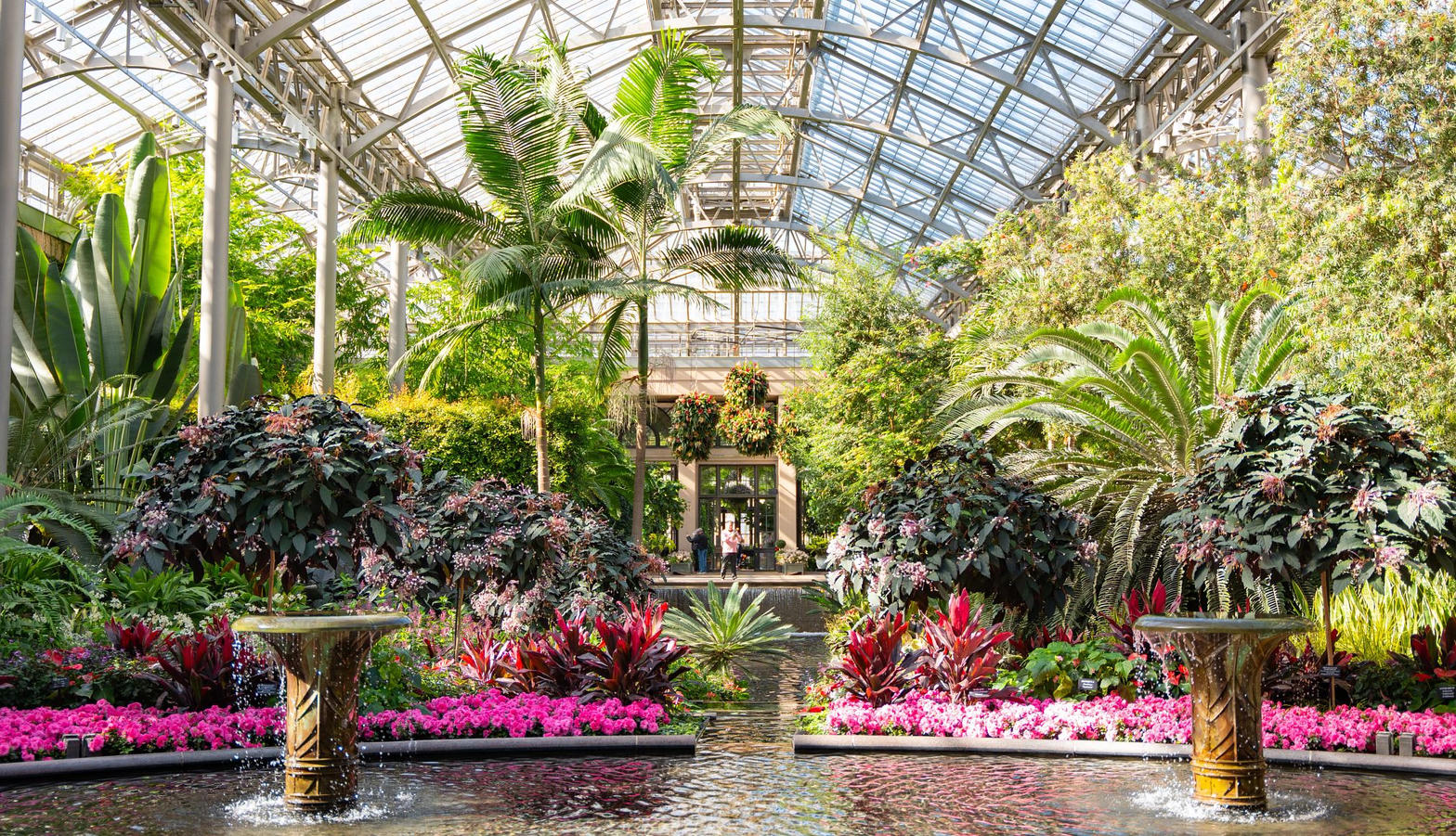 Four glasshouses